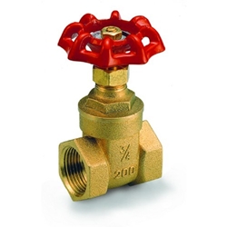 Gate and Globe Valve